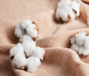 Garnissage de matelas : laine, coton ou coco – que choisir ?